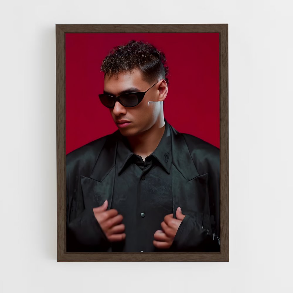 Poster Pablo veron – affiche Danse (vue 5)